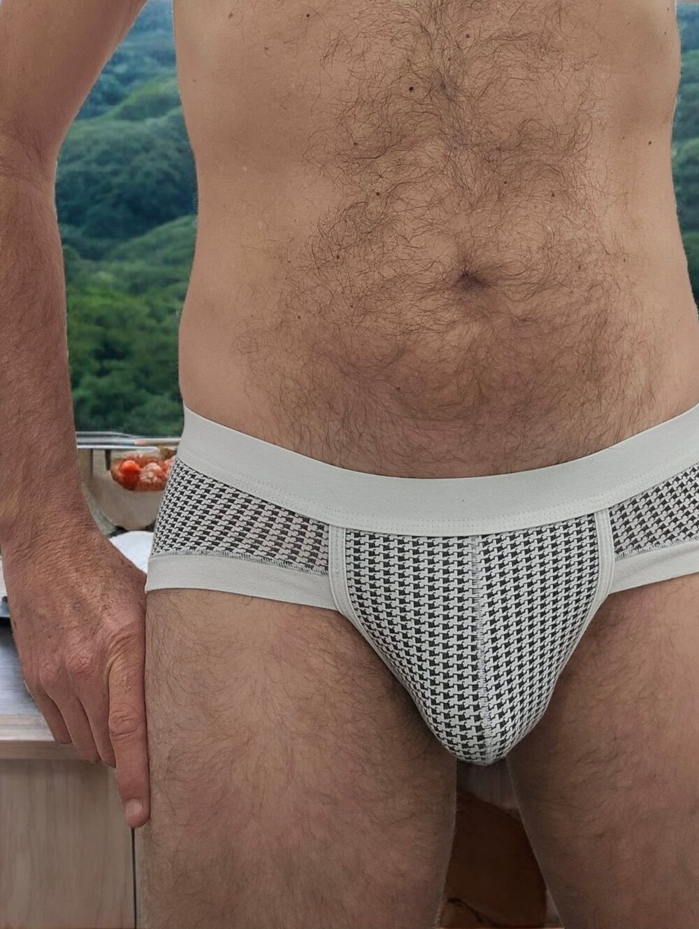Men's Brief Underwear - White & Gray